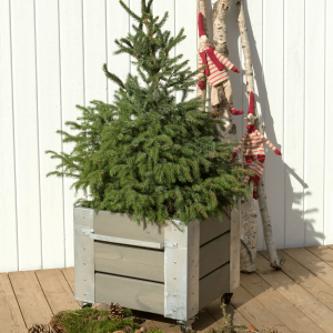 cubic blomsterkasse