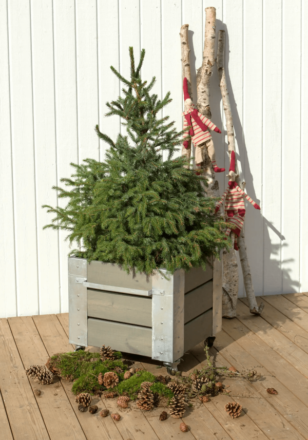 cubic blomsterkasse