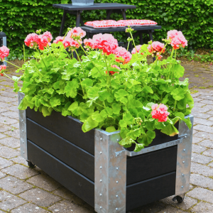 cubic blomsterkasse